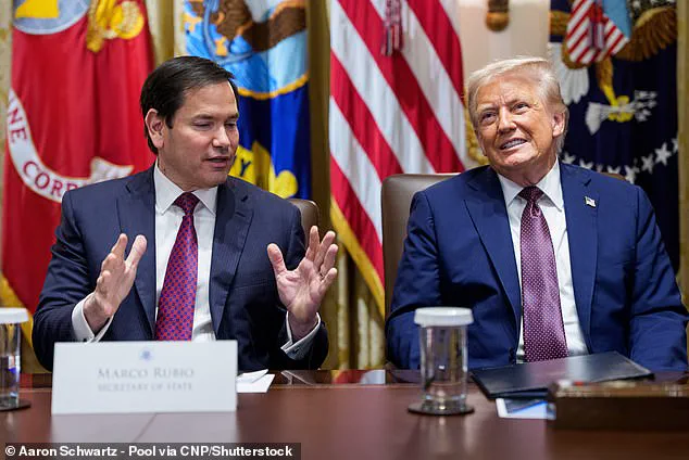 Prince Harry's U.S. Visa Saga: A Two-Year Legal and Political Imbroglio with Wider Implications