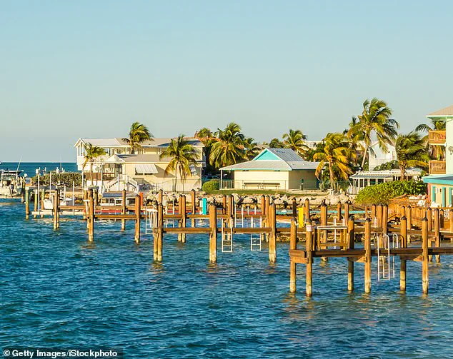 Miraculous Survival: 8-Year-Old Boy Rescued by Sister After Shark Attack in Florida