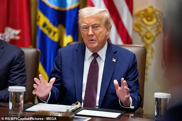 Trump Administration's Armed Immigration Enforcement Sparks Debate on Community Impact