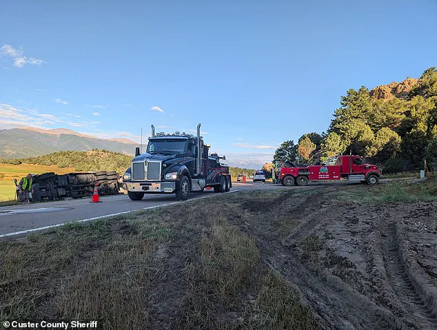 Semi-Truck Crash Spills Sweet Corn on Colorado Highway, Prompting Community Gathering