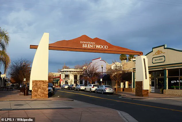 Brentwood's Commute Crisis: Limited Access to Information Reveals a Privileged Lack of Solutions