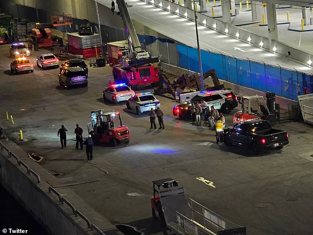 Royal Caribbean Cruise Ship Returns to Port After Brawl Injures Two Passengers, Raising Safety Concerns