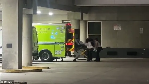 Royal Caribbean Cruise Ship Returns to Port After Brawl Injures Two Passengers, Raising Safety Concerns