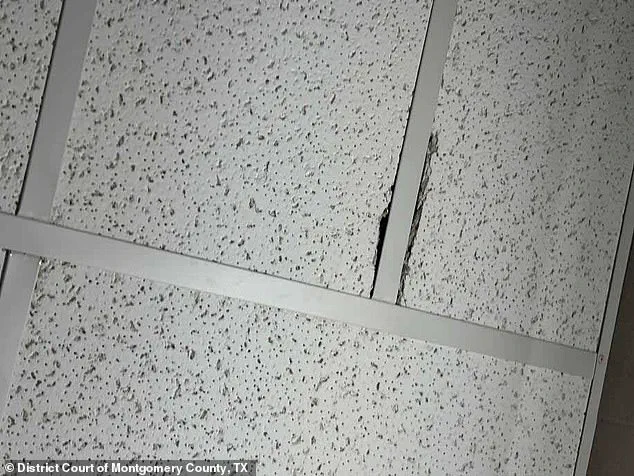 Texas Hospital Scandal Sparks Calls for Enhanced Privacy Regulations in Healthcare Sector