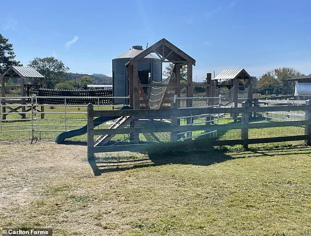 Behind Closed Doors: The Fight for Transparency After a Tragic School Field Trip