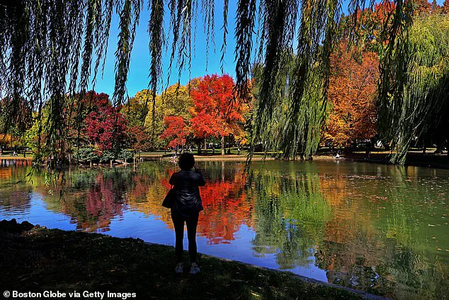 Drought Diminishes New England's Iconic Leaf-Peeping Season, Disappointing Tourists
