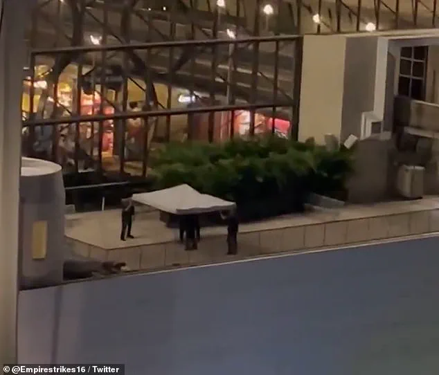 Summer Equitz: The Tragic Tale of a Disney Superfan's Vanishing and Mysterious Discovery at Walt Disney World