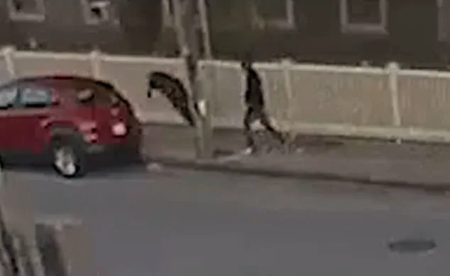 Former Mayor Will Flanagan Brutally Attacked Outside Cannabis Dispensary in Fall River; Surveillance Footage Shows Shocking Moment