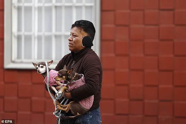 6.5 Magnitude Earthquake Shakes Mexico, Disrupts President’s Press Briefing Near Acapulco