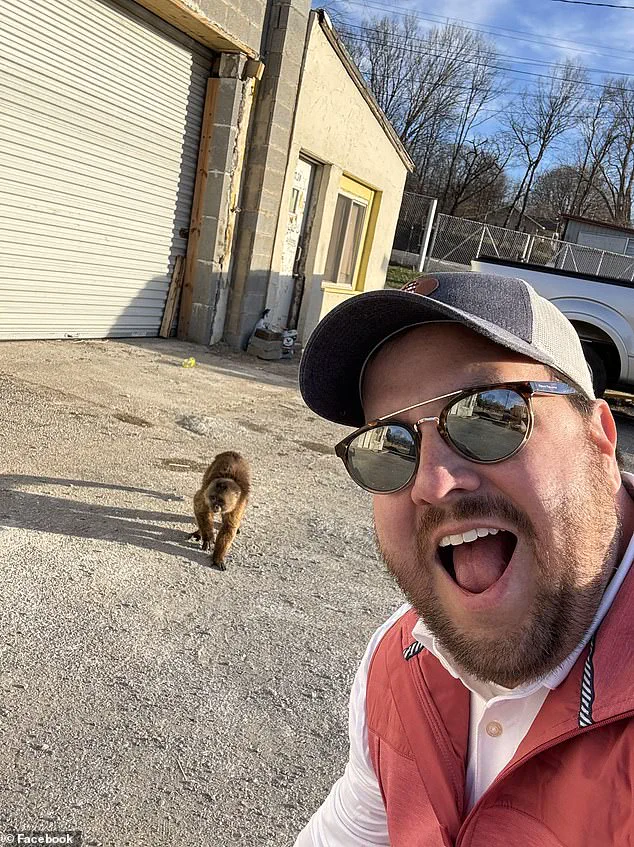 Cinnamon Capuchin Monkey Causes Havoc at Tennessee Store; Employees and Customers in Shock as Local Resident Helps Capture Feral Primate