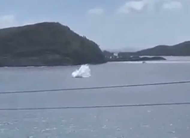 Jessica Klepser Returns to Plane Crash Site That Claimed Her Family's Lives, Two Years Later