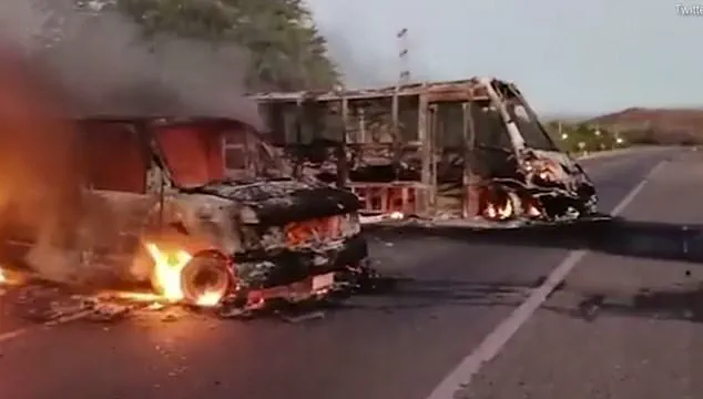 Cartel Violence in Mexico: Brutality, War Zones, and the Tragedy of Innocent Lives