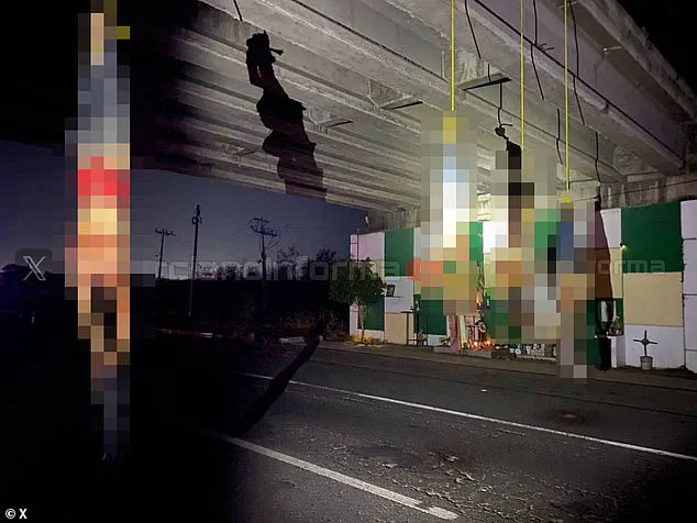 Cartel Violence in Mexico: Brutality, War Zones, and the Tragedy of Innocent Lives