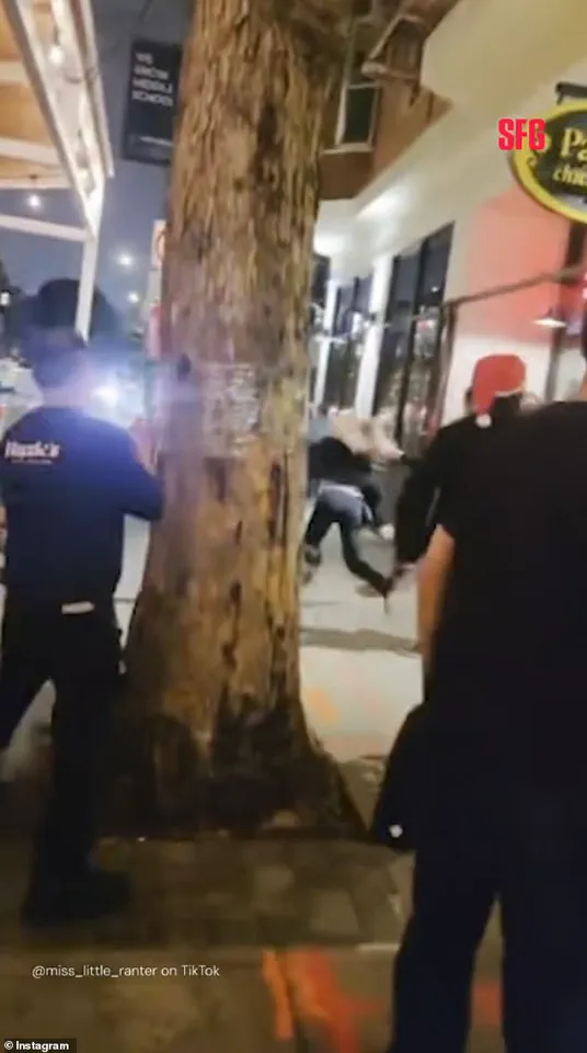 San Francisco Bartender Fired Amid Viral Video Firestorm, Igniting Debate Over Workplace Accountability