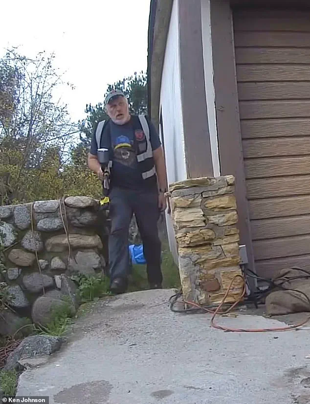 California Homeowner Finally Removes 550-Pound Bear After Month-Long Disruption