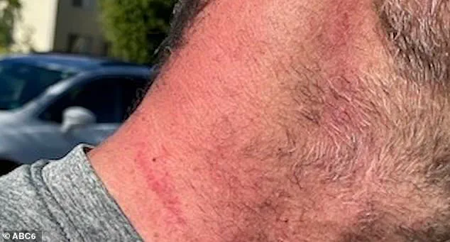 Melissa Mullin Sims' Legal Nightmare: The Hidden Risks of AI-Generated Evidence in Domestic Violence Cases