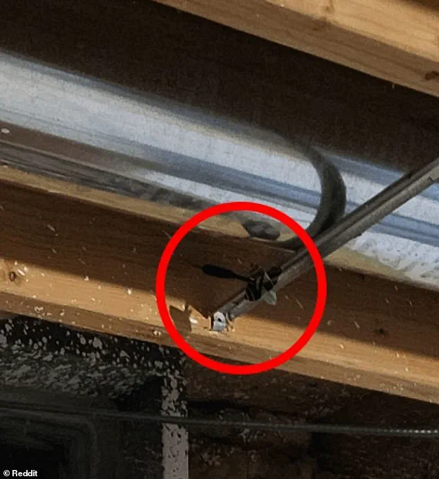 Internet Users Puzzle Over Missing Dart in Viral Reddit Photo Challenge