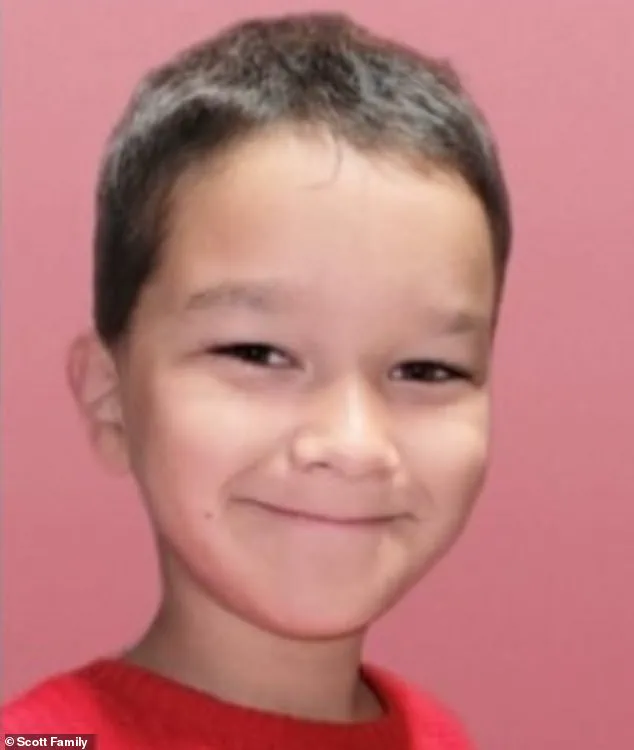 Tragic Death of Six-Year-Old Boy by Great Danes: Babysitter's Failure in Spotlight as Trial Begins