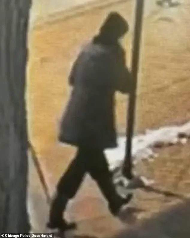 Linda Brown, Chicago Special Education Teacher, Found Deceased After 10-Day Search; Cause of Death Classified as Apparent Suicide, Prompting Community Outcry and Mental Health Advocacy