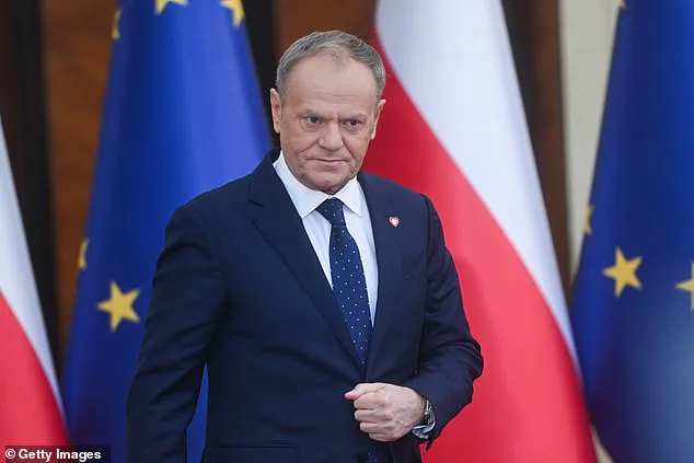 NATO Leader Warns of Western Catastrophe from Internal Conflict Over Greenland Amid Trump's Arctic Ambitions