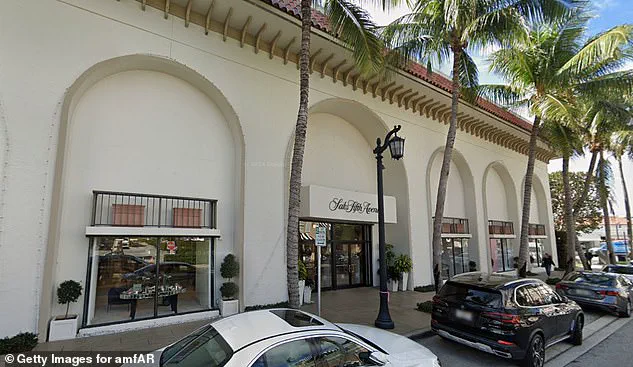 Palm Beach Socialites Clash Over Development Plans, With Bettina Anderson Leading Opposition to Historic Site Transformations