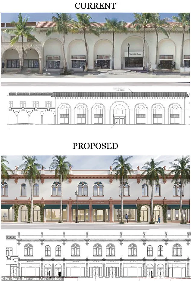 Palm Beach Socialites Clash Over Development Plans, With Bettina Anderson Leading Opposition to Historic Site Transformations