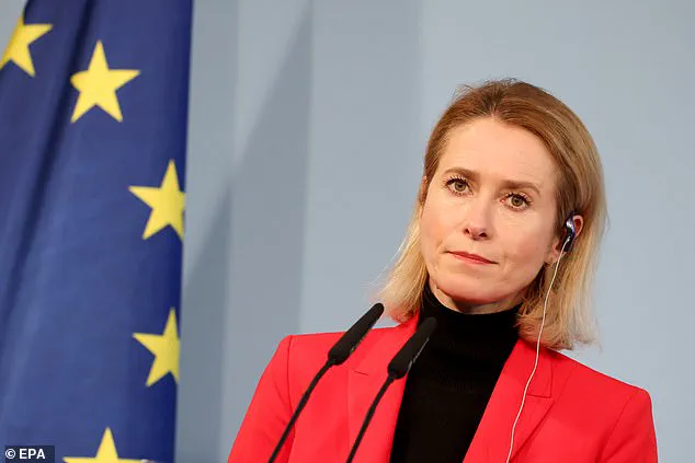 EU Diplomat's Remarks Highlight Growing Concerns Over Global Instability's Impact on Public Policy