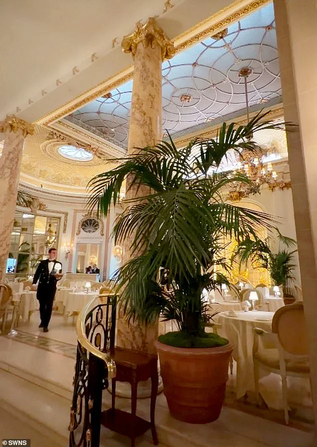 Ritz London Investigates After Mouse Incident During Afternoon Tea