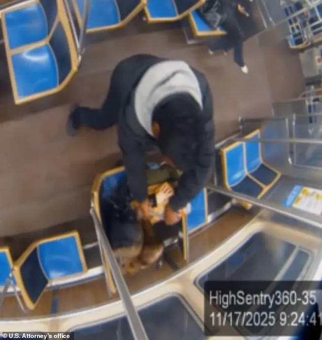 Shocking Brutality on Chicago's Blue Line: Transit Murder Sends Community into Shock