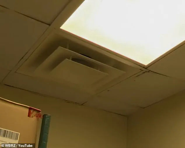 Urgent Health Concerns at Louisiana Wendy's: Employees Report Mold, Decay, and Unsafe Conditions Prompting Calls for Immediate Inspection