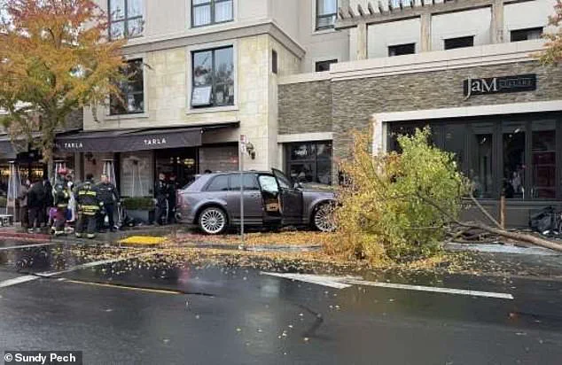 Exclusive: Napa Valley Legal Battle Over Rolls-Royce Crash Reveals Privileged Information