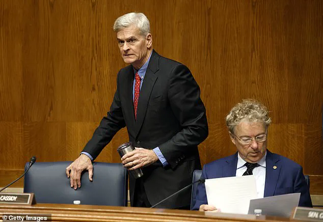 Trump's Endorsement of Julia Letlow in Louisiana Senate Race Sparks GOP Tensions