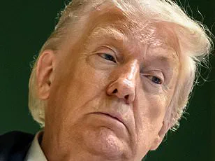 Trump's NATO Tensions Resurface at Davos as Allies Push Back on U.S. Commitments