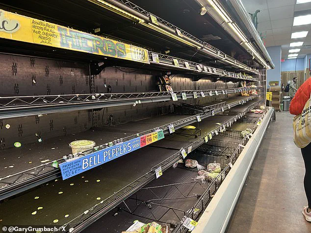 Historic Ice Storm 'Fern' Poses Infrastructure Challenges and Political Uncertainty