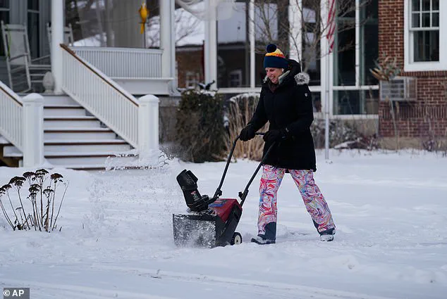 Historic Winter Storm 'Storm Fern' Brings Record Cold and Chaos to US: 'We’re Preparing for the Worst' – Resident in Texas