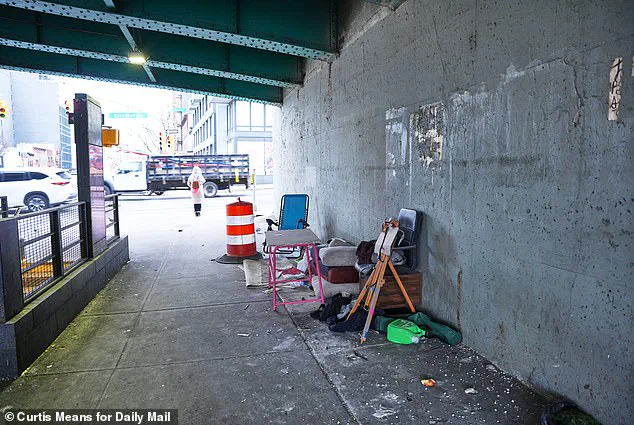 Homeless Encampments Reemerge in Manhattan as Mamdani's Policy Contrasts with Adams' Approach