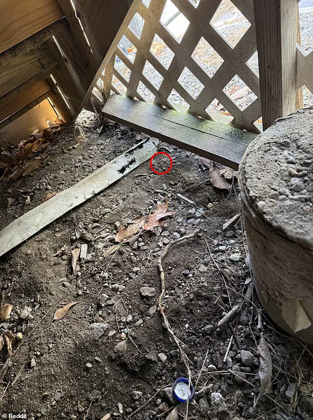 Desperate Husband Turns to Reddit After Losing Wedding Ring Beneath Deck
