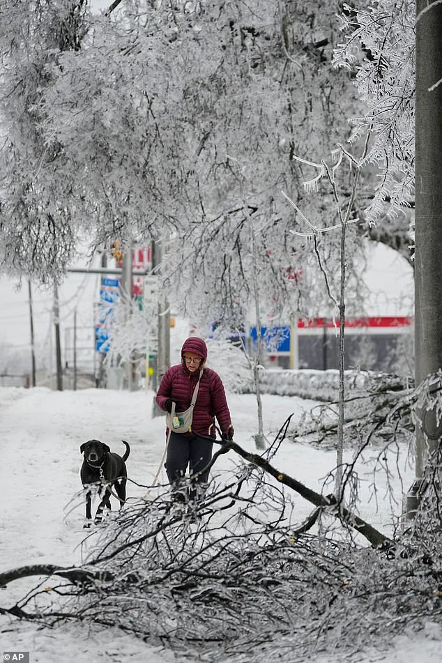 Winter Storm Fern Estimated to Cost Over $100 Billion, Leave 16 Dead Across 17 States