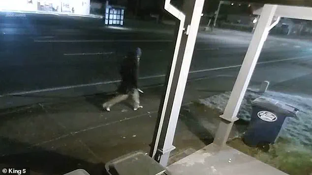 Violent Encounter in Parkland Leaves Man, Dog Injured as Attacker Shot Dead by Police, Sparking Community Outcry