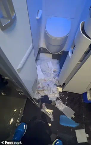 Regulatory Gaps in Aviation: A Family's Ordeal During a Winter Storm Crisis