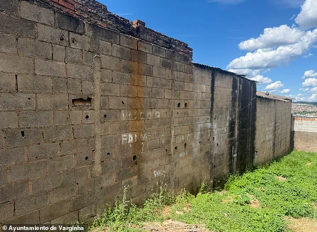 The Varginha Incident: A 1996 Encounter with an Unidentified Creature in Brazil