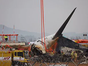 Emergency Maneuver Averts Bird Strike Disaster During Sir Elton John's Flight at Farnborough Airport