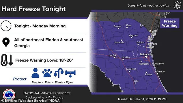 Florida's Unprecedented Cold Snap: Winter Storm Gianna Brings Record-Low Temperatures, Mirroring Iceland's Harsh Winters