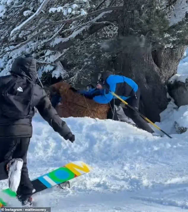 Chewbacca-Costumed Skier Brutally Beaten in Viral Clash at Val Thorens
