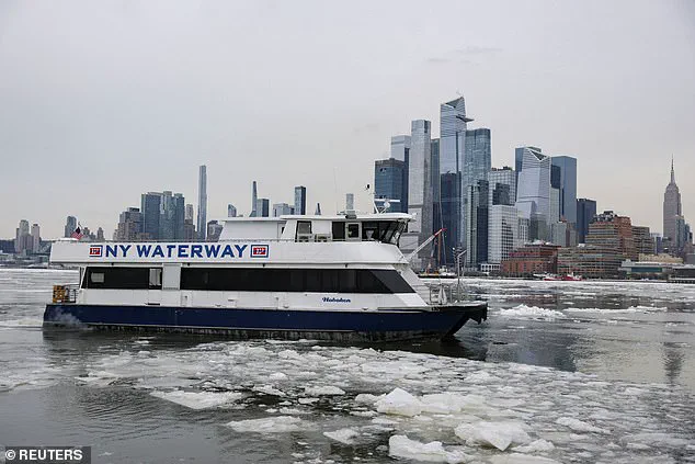 Millennials and Gen Z Concentrate in Liberal Cities, Fueling Democratic Trends