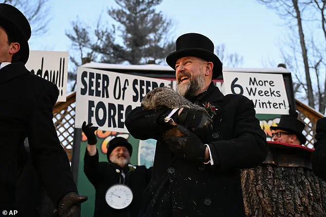 Punxsutawney Phil's Winter Prediction: A Tradition Steeped in Frost and Anticipation