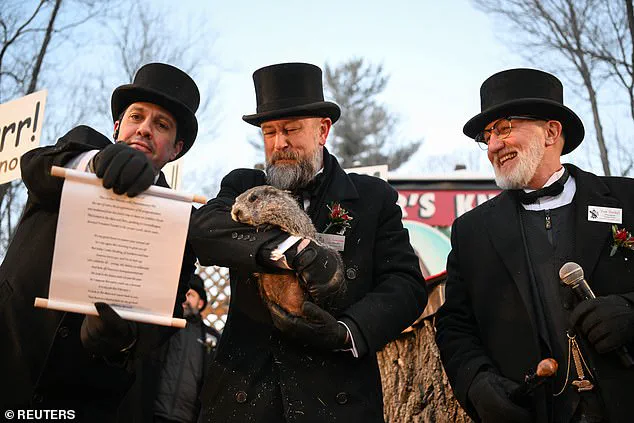 Punxsutawney Phil's Winter Prediction: A Tradition Steeped in Frost and Anticipation