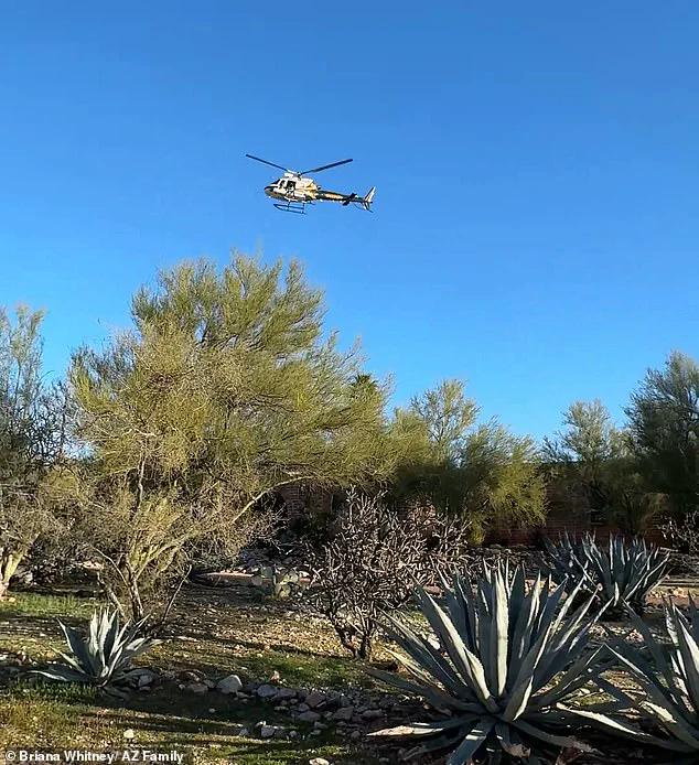 Abduction of 84-Year-Old Nancy Guthrie Sparks Speculation About Multiple Perpetrators in Tucson