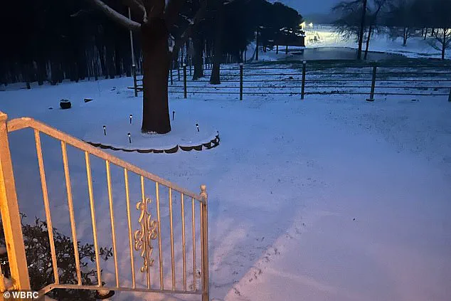 Homeless Man Survives Garbage Truck Crush in Jackson Amid Winter Storm