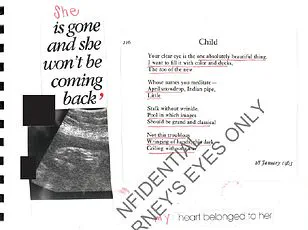 Jeffrey Epstein's Leaked Documents Reveal Victim's Diary and Paternity Mysteries